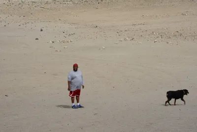 DSC_2947 (Large).JPG